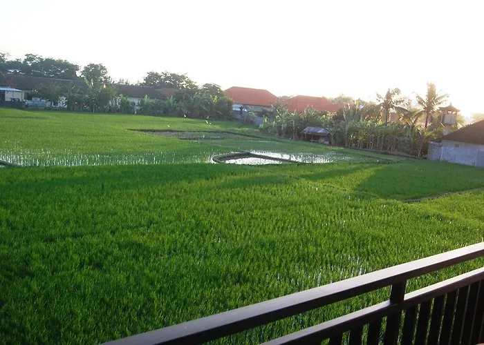 Wooden Paradise 3* Canggu